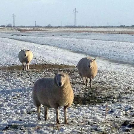 Haus-nordsee-whg-08 Sankt Peter-Ording